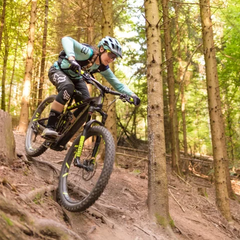 electric-mountain-bikes_s.webp electric-mountain-bikes_s.webp
